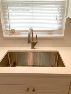 Clean Kitchen Sink